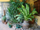 Accommodation, Pretoria, Tshwane